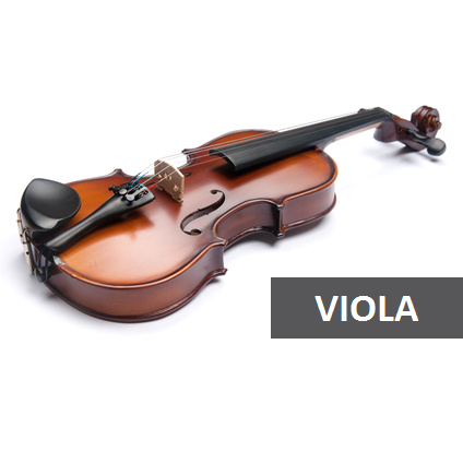 Image result for viola voila